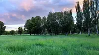 亚洲最大的城中草原，包头市赛汗塔拉，城市中美丽的风景。内蒙古欢迎你。