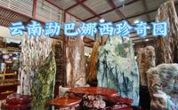云南芒市勐巴娜西珍奇园