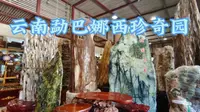 云南芒市勐巴娜西珍奇园