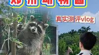 郑州市动物园沉浸式测评vlog，饱受诟病的差评景区，现在怎么样了？