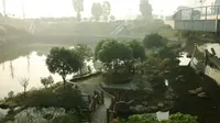 冬静如眠——黄袍山国家油茶产业示范园