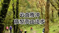 【云南】腾冲高黎贡山徒步-毛毛球森林路线