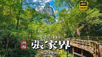 [4K HDR]幽谷清泉画中游，漫步湖南张家界金鞭溪| 漫游中国 | 湖南 张家界 | 云旅行 沉浸式 漫步 POV 旅行 白噪音