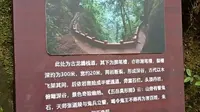 来成都青城山，看看张天师的掷笔槽