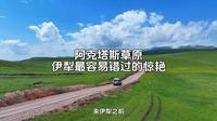 伊犁河谷最容易错过的惊艳草原  《阿克塔斯》  你要相信，一切都是最好的安排，千万不要让坏心情影响你出游的兴致！