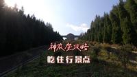 细数神农架六大景区三个小镇，吃住玩合理安排，神农架自驾攻略下