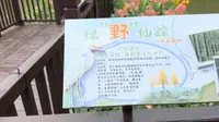 武汉新洲区  涨渡湖水上森林