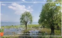 环游洱海（才村码头-阳南溪服务站）