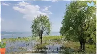 环游洱海（才村码头-阳南溪服务站）