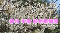 郑州植物园