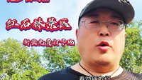 新密免费打卡地红石林景区，这里的丹霞地貌景观很特别
