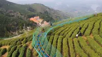西九华山对持中、高考准考证免费开放了