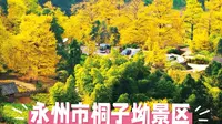 永州市桐子坳景区：自然与民俗交织的多彩画卷