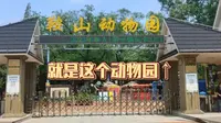 【云逛动物园系列】09.鞍山二一九公园动物园