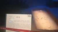 漯河景点（漯河博物馆）