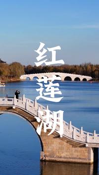 淄博桓台，初冬的红莲湖，宁静安闲，浪漫静谧