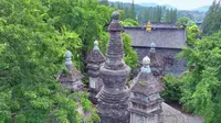襄阳广德寺，一座多宝塔一棵将军树，穿越千年