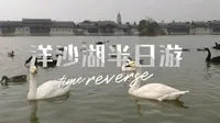vlog 湘阴洋沙湖半日游