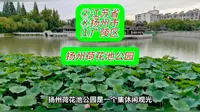 （扬州荷花池公园）②江苏省Ⓚ扬州市⑴广陵区游玩景点分享