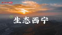 生态西宁