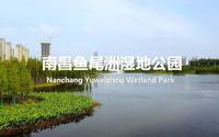【景观案例分享】南昌鱼尾洲湿地公园