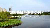 【景观案例分享】南昌鱼尾洲湿地公园