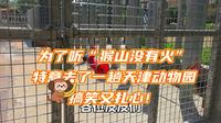 为了听“猴山没有火”特意去了一趟天津动物园，搞笑又扎心！