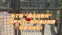 为了听“猴山没有火”特意去了一趟天津动物园，搞笑又扎心！