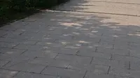 带对象看挹娄文化风情园第二弹