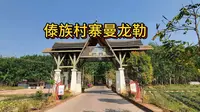 从勐腊县城徒步至曼龙勒，大片的橡胶林和火龙果园，傣族传统的房屋和村寨非常整洁漂亮
