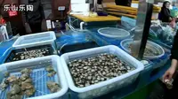 床车自驾游连云港，高公岛逛海鲜市场，停车场做海鲜