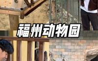 都快忘了福州还有个动物园 终于来了！！