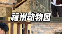 都快忘了福州还有个动物园 终于来了！！