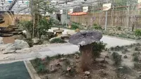 节假日游上海东方假日田园，体验世外桃源的农家乐生活