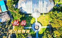 武汉植物园，是中国三大核心科学植物园之一，4A级旅游风景区