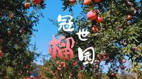 《地名里的中国》山东枣庄峄城区冠世榴园：小石榴的大世界
