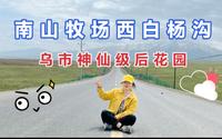 南山牧场西白杨沟一日游/带你看看乌市神仙后花园