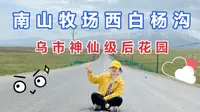 南山牧场西白杨沟一日游/带你看看乌市神仙后花园