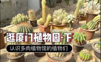逛厦门植物园·下｜认识多肉植物馆的植物们