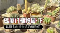 逛厦门植物园·下｜认识多肉植物馆的植物们