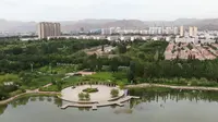 乌海市 植物园