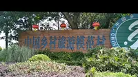穷游温江幸福田园，园内集观光旅游，民宿餐饮一体，打造得很好！