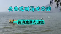 漫步云南昆明海埂公园，邂逅西伯利亚红嘴鸥，一览滇池的湖光山色