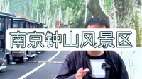 钟山风景区全攻略 #南京旅游 #钟山风景区 #南京梧桐大道