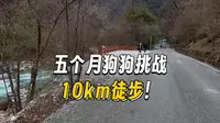 东拉山大峡谷