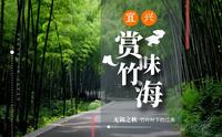 烟雨江南【宜兴竹海】（超解压）摸鱼视频 带你云旅行，放松看缆车