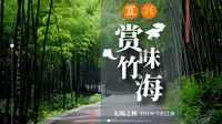 烟雨江南【宜兴竹海】（超解压）摸鱼视频 带你云旅行，放松看缆车