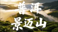 2026冬季景邁山, 一場完美的雲海盛宴