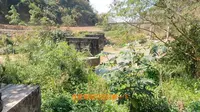与我家老太太漫游云南-永德县滇缅铁路遗址营地清晨溜豆豆观风景