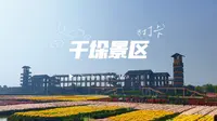 这个秋天不做“菊外人”，一起来兴化千垛——品蟹赏菊#千垛景区 #兴化 #菊花 #品蟹赏菊